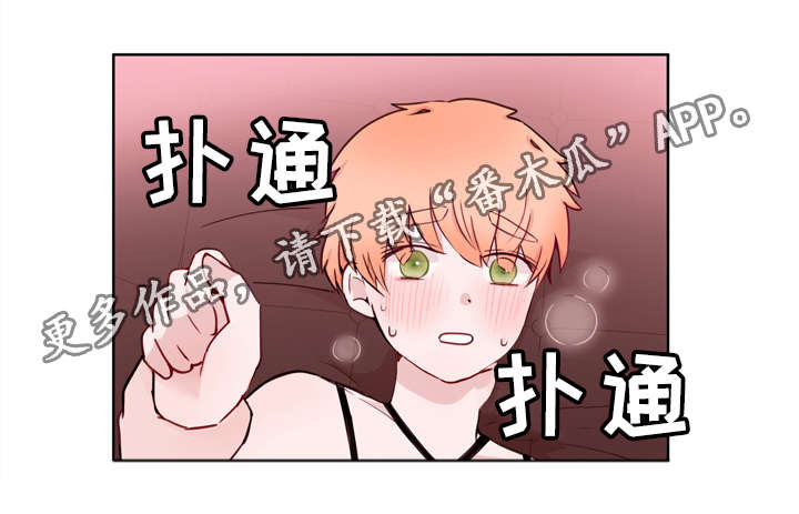 第23章：证明11