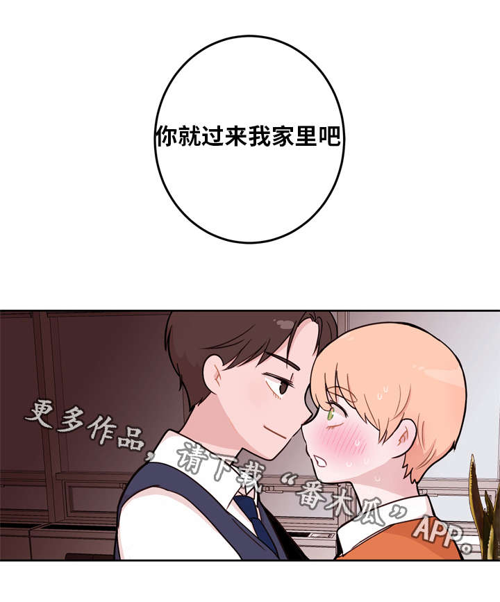 第5章：机会4