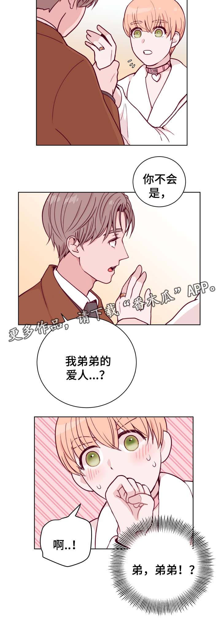 第45章：弟弟的爱人8