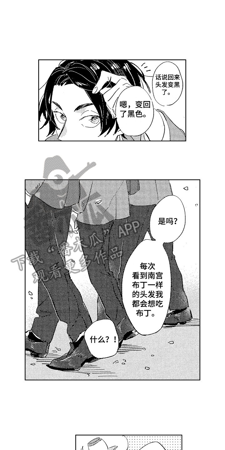第17章：染发14