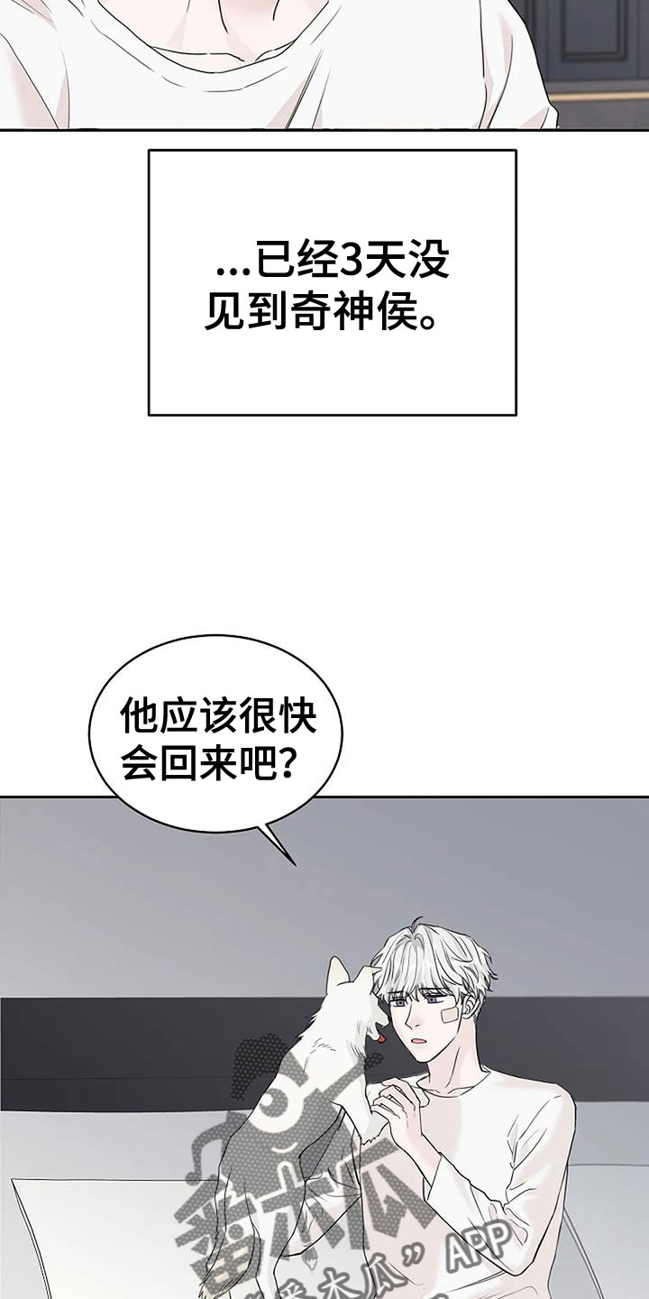 第37章：回来了8