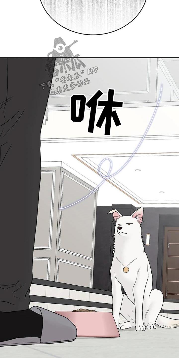 第54章：宠物16