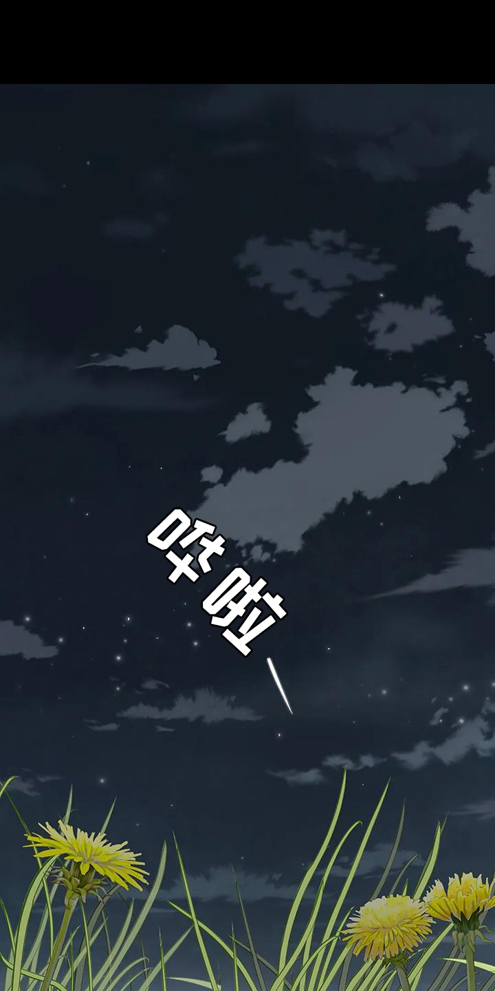 第51章：目睹0