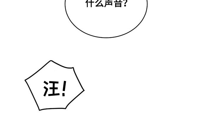 第20章：什么声音21