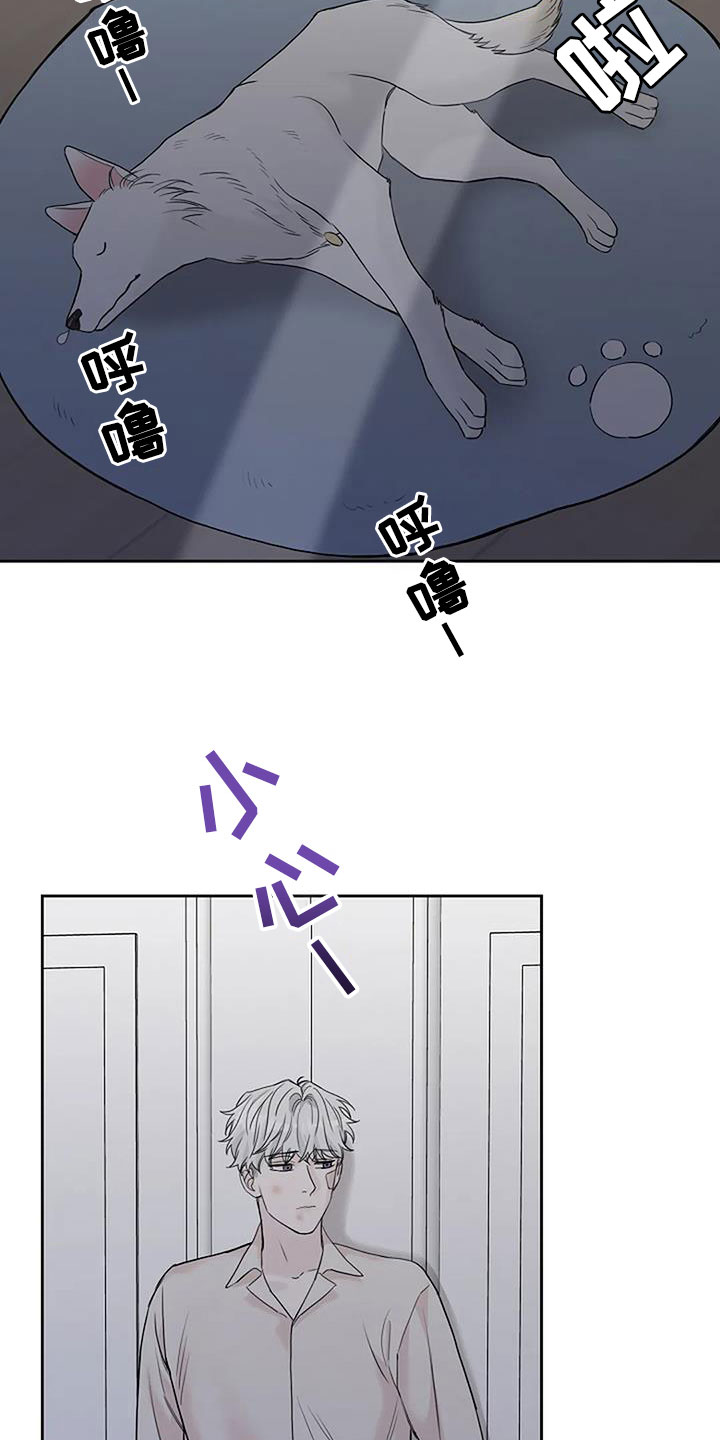 第37章：回来了15