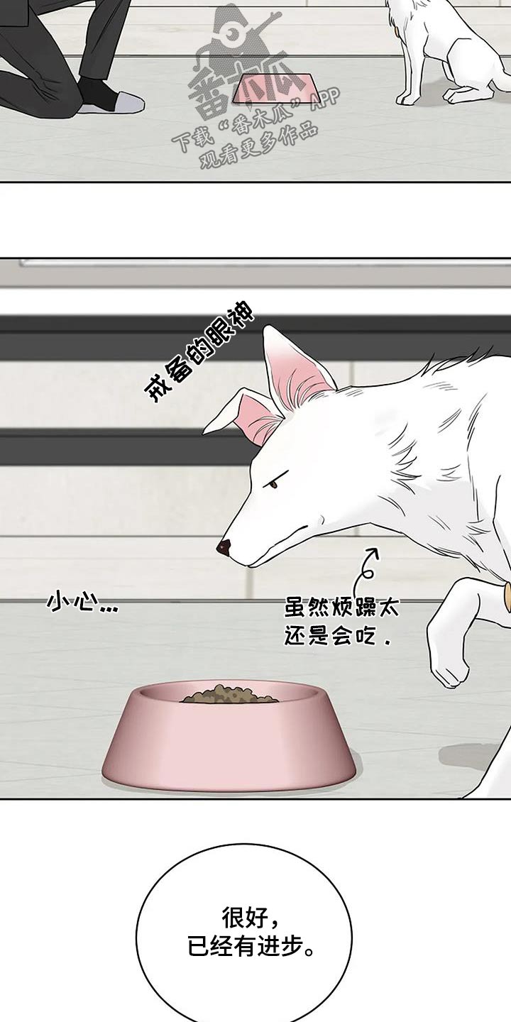 第54章：宠物19