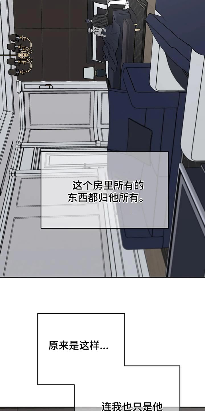 第54章：宠物5