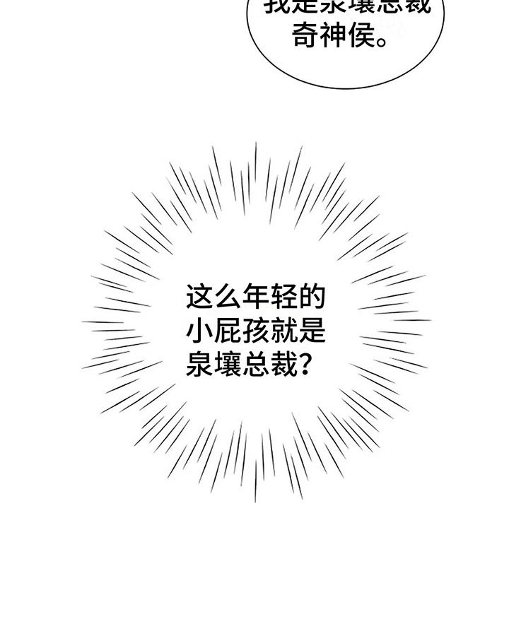第10章：总裁28