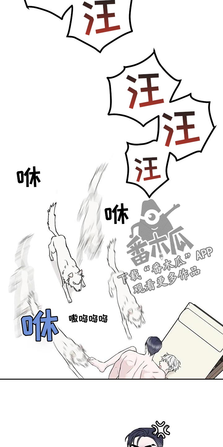 第20章：什么声音19