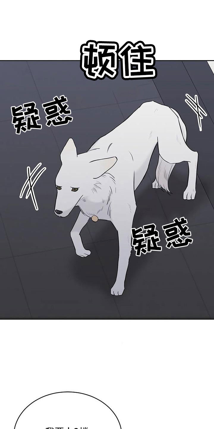 第34章：别装了16