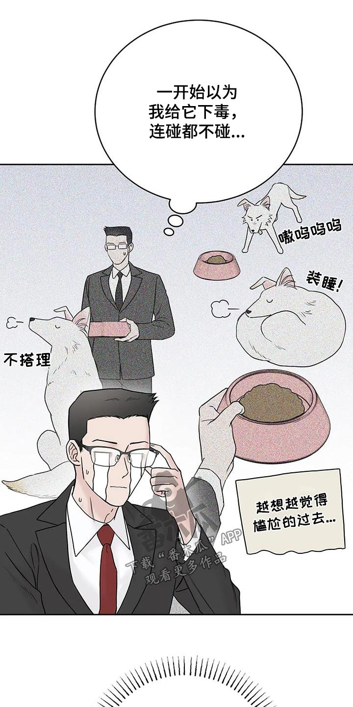 第54章：宠物21