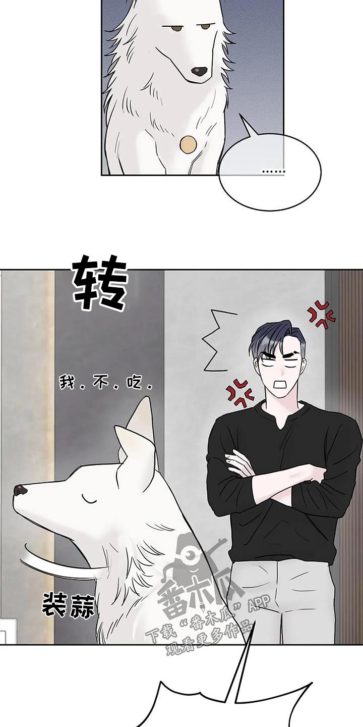 第57章：为什么不吃20
