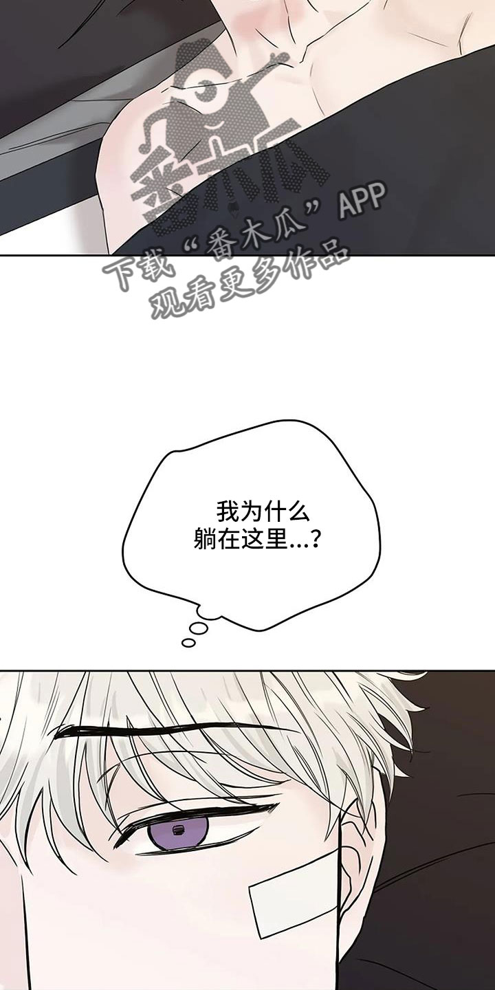 第41章：珠子10