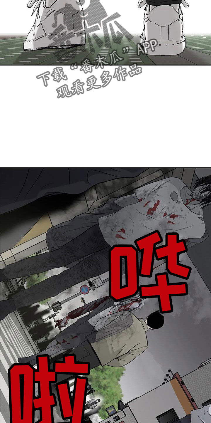 第29章：不得不死的命运14
