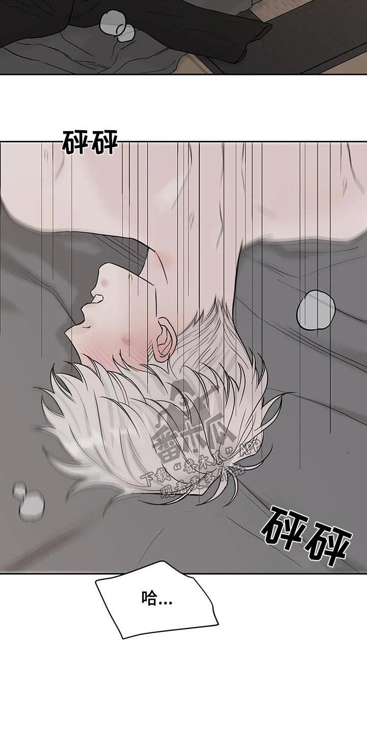 第54章：宠物26