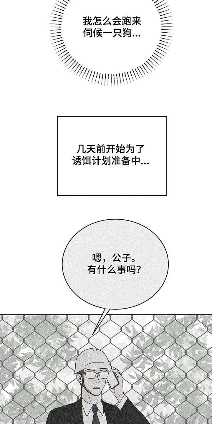 第54章：宠物22
