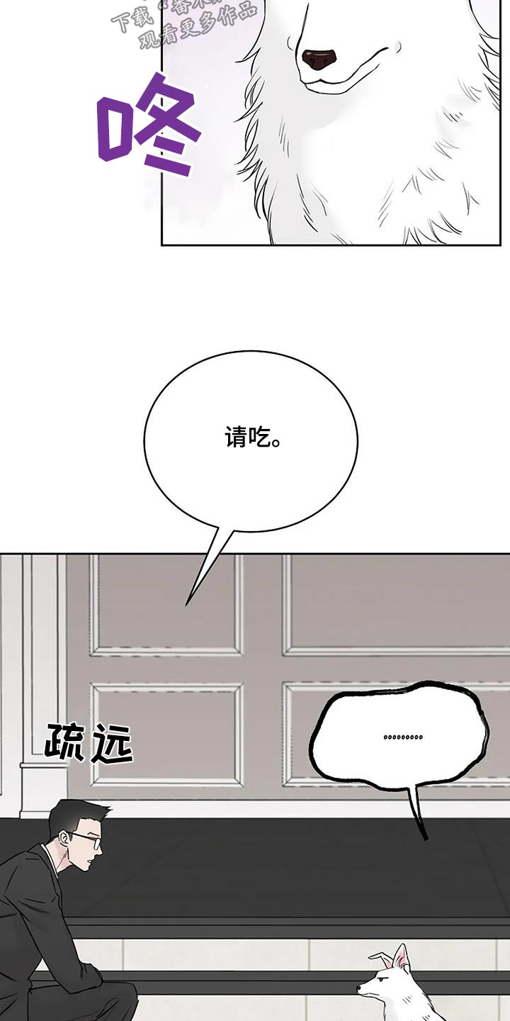 第54章：宠物18
