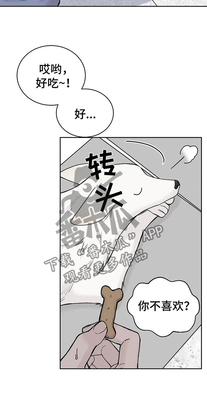第15章：他的狗22