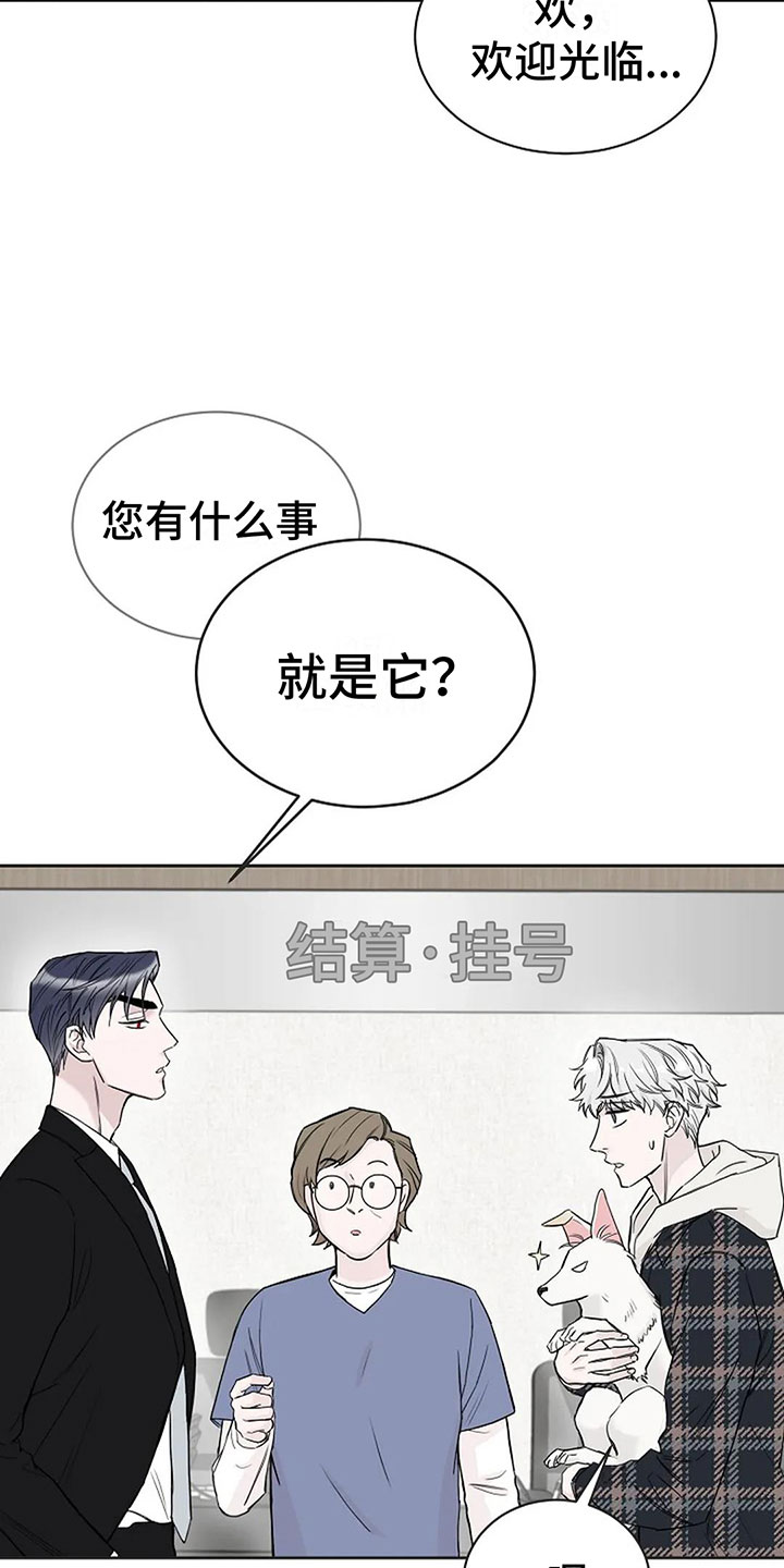 第16章：这是我家4