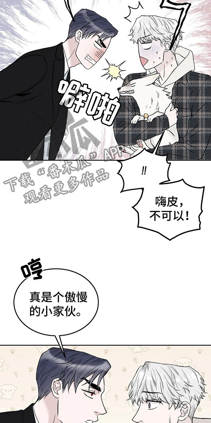 第16章：这是我家8
