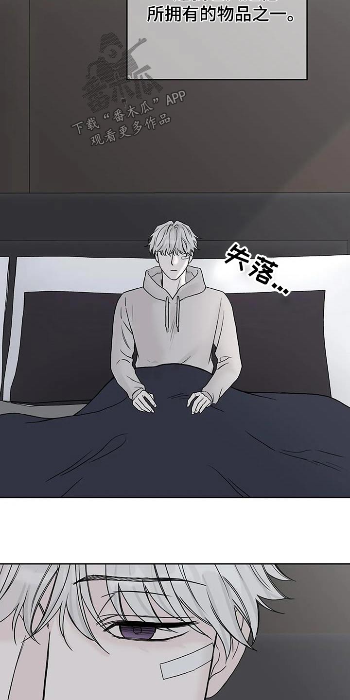 第54章：宠物6