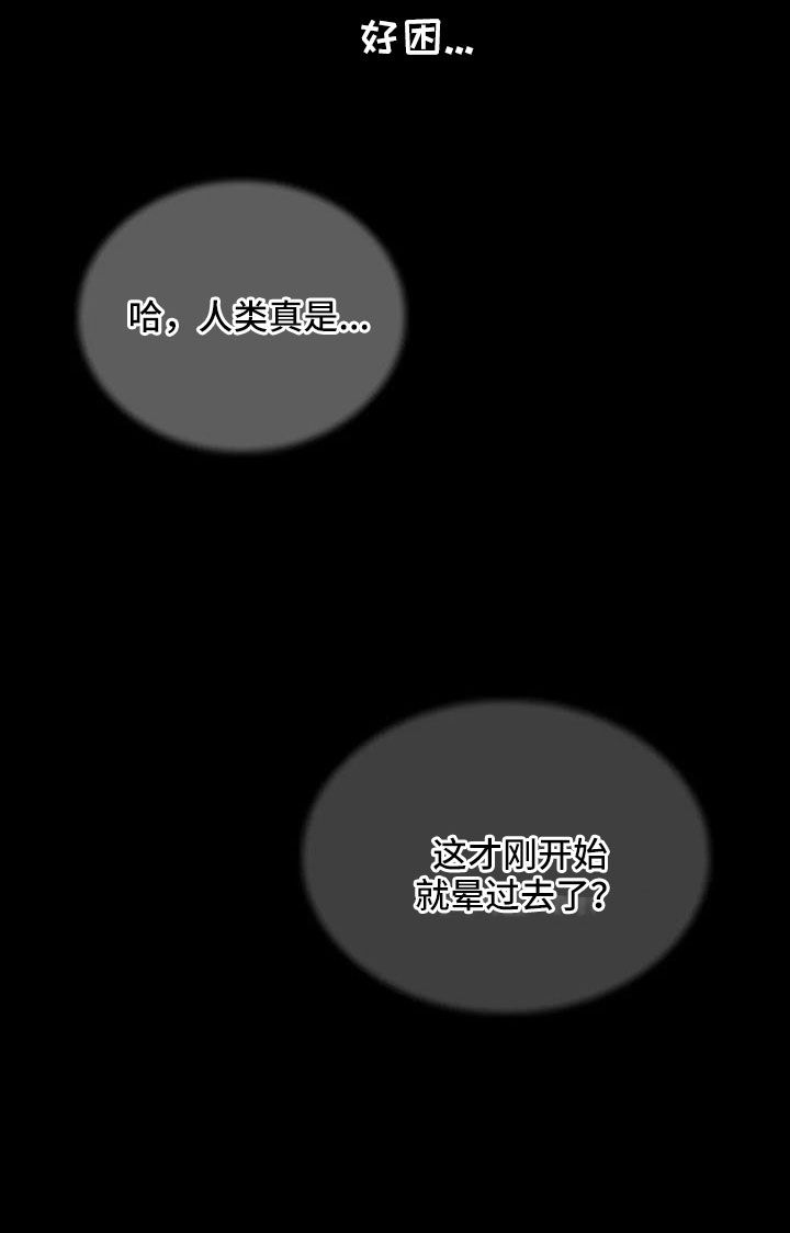 第26章：晕过去19