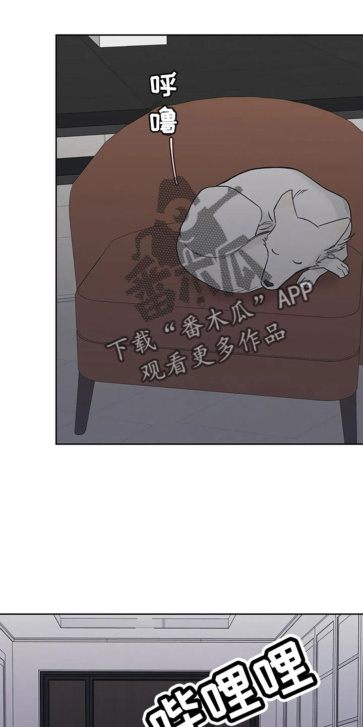 第34章：别装了13