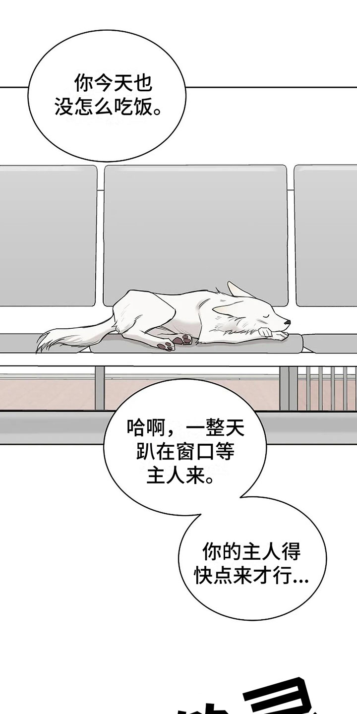 第15章：他的狗23