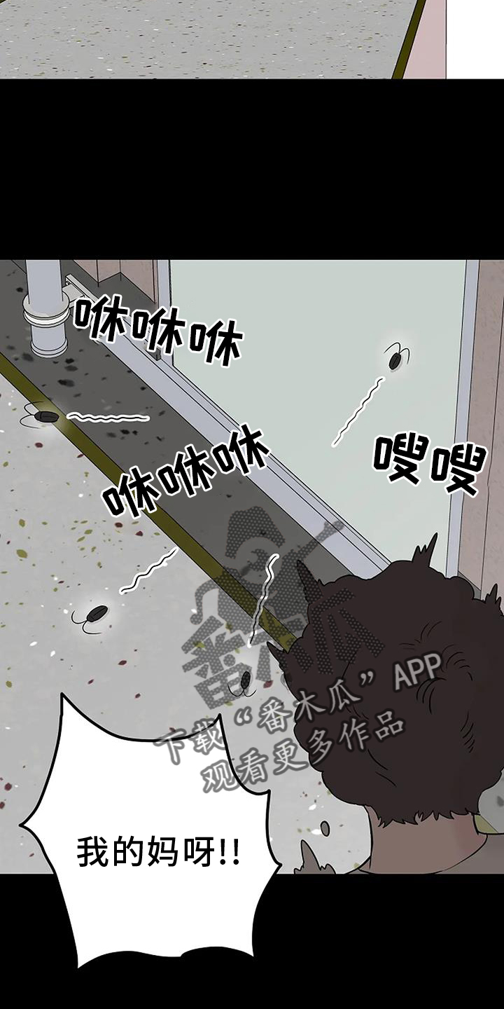 第46章：认识5