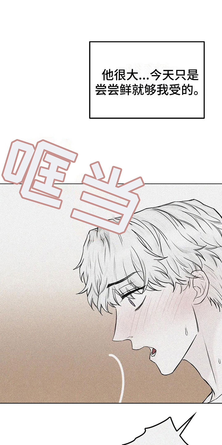 第17章：真的可以吗21