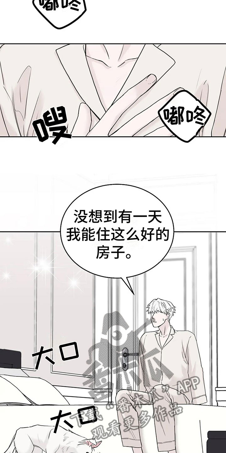第17章：真的可以吗19