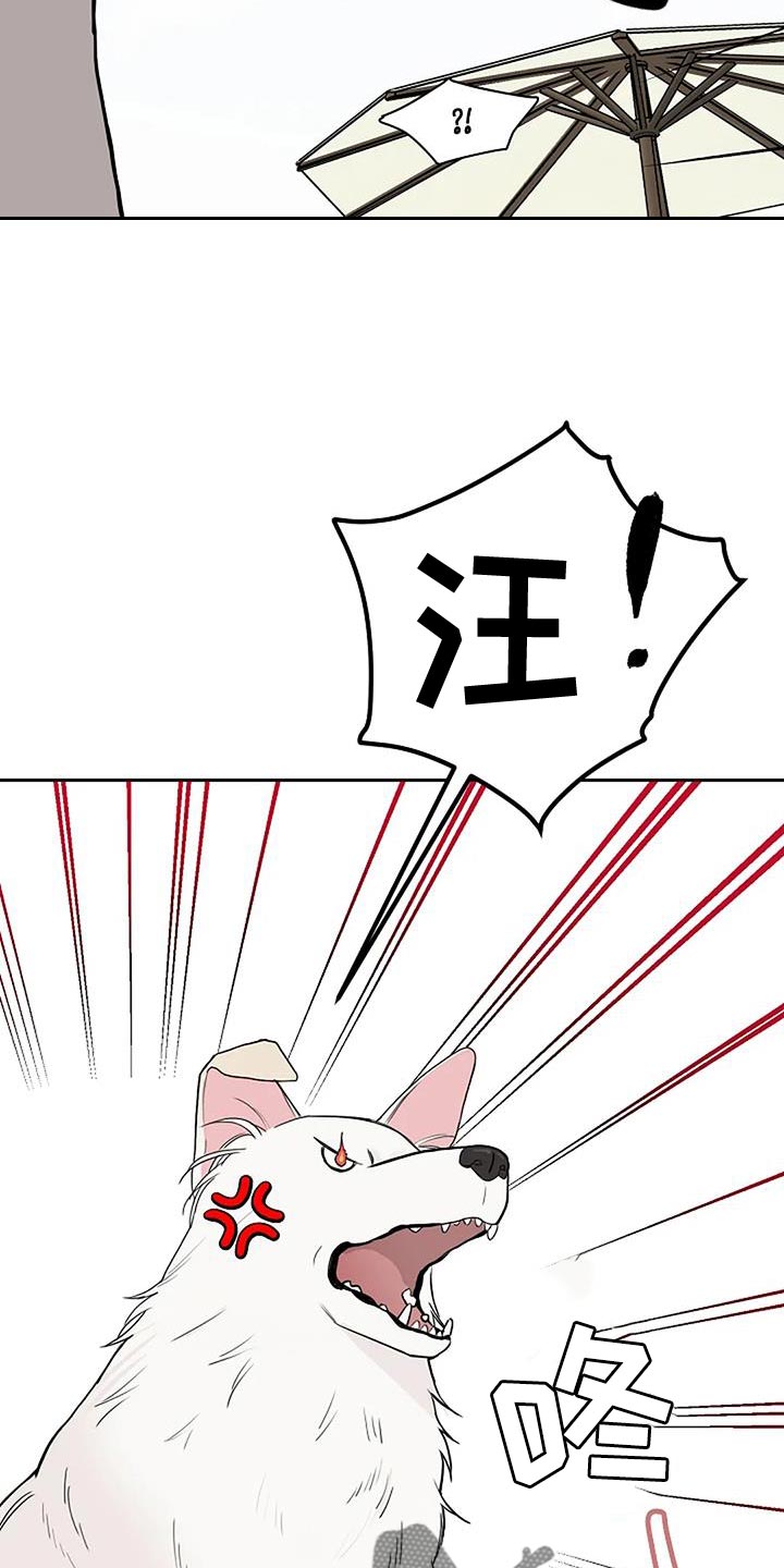 第20章：什么声音14