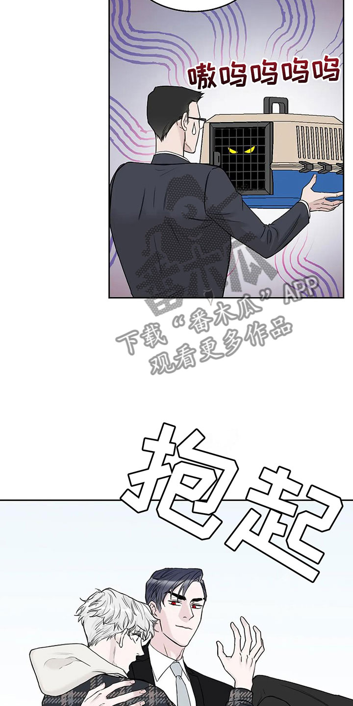 第16章：这是我家19
