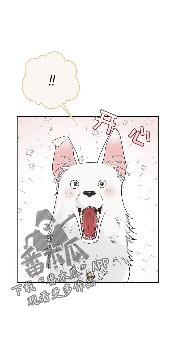第37章：回来了4
