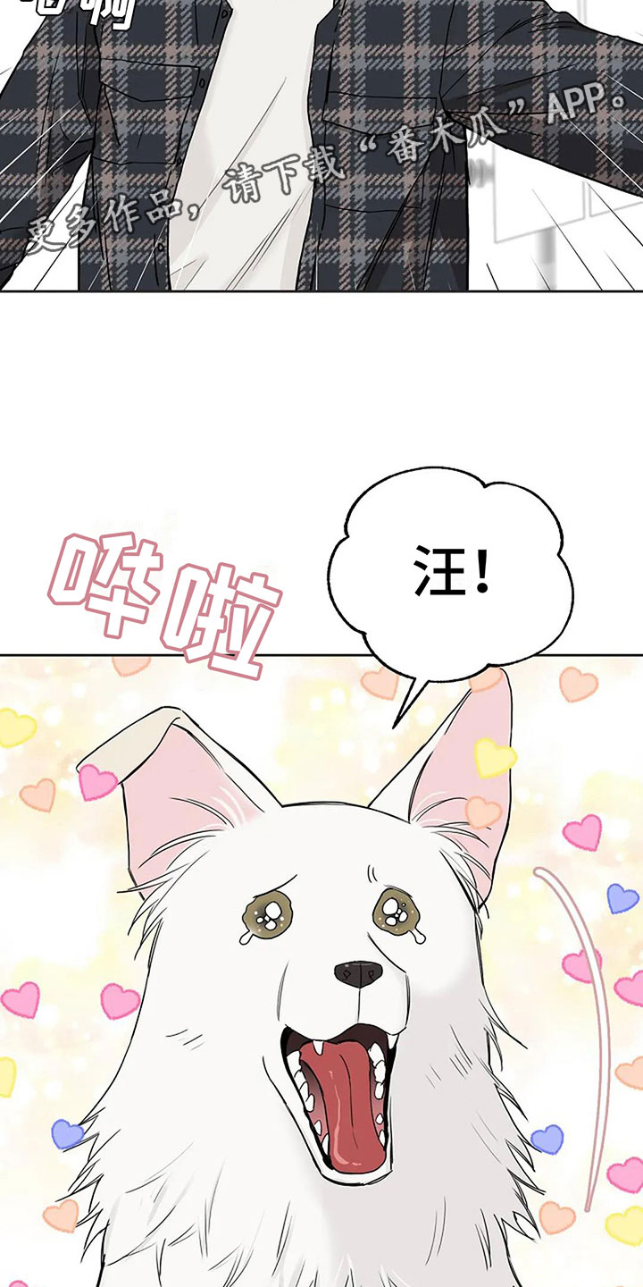 第15章：他的狗25
