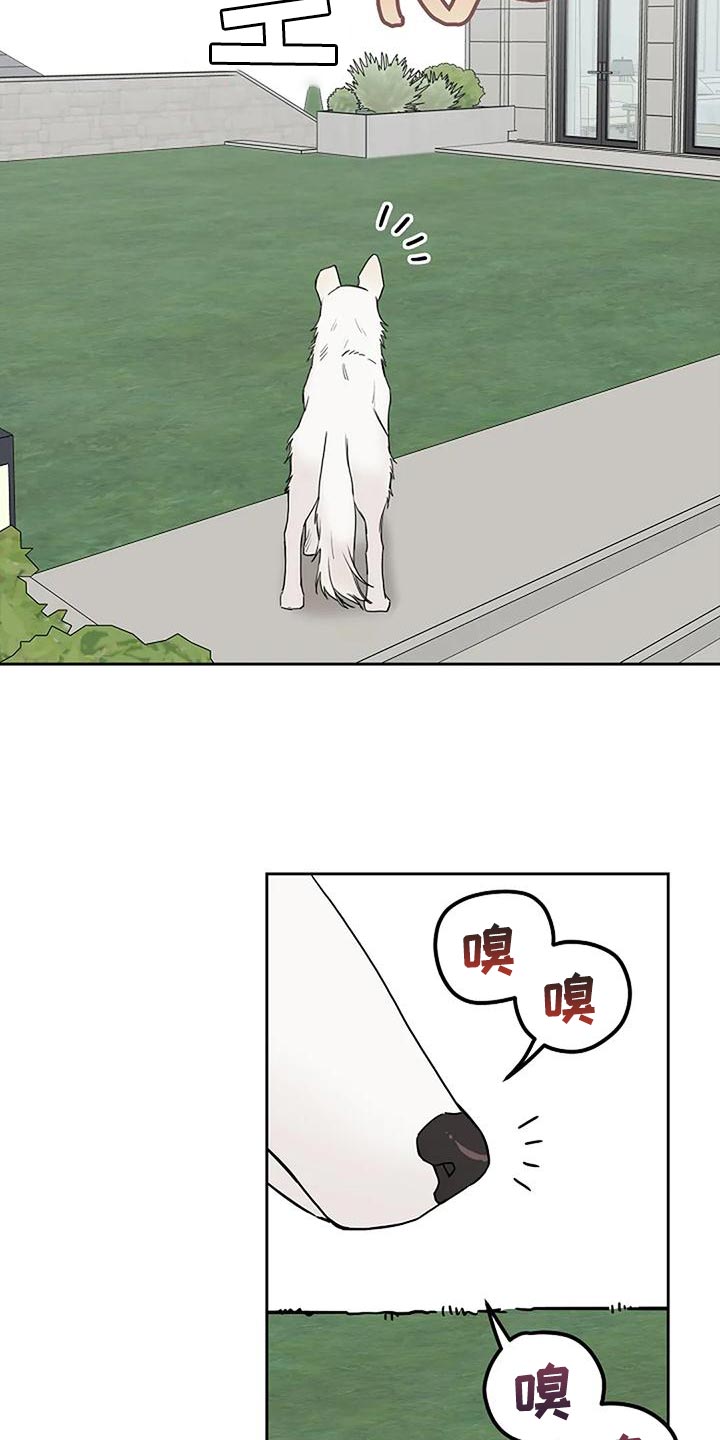 第19章：要被吃掉了28