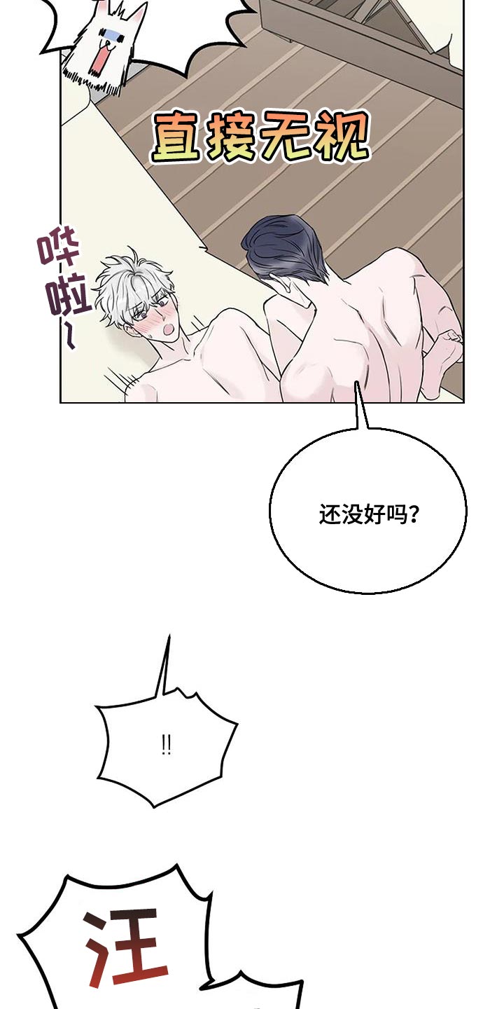 第20章：什么声音18
