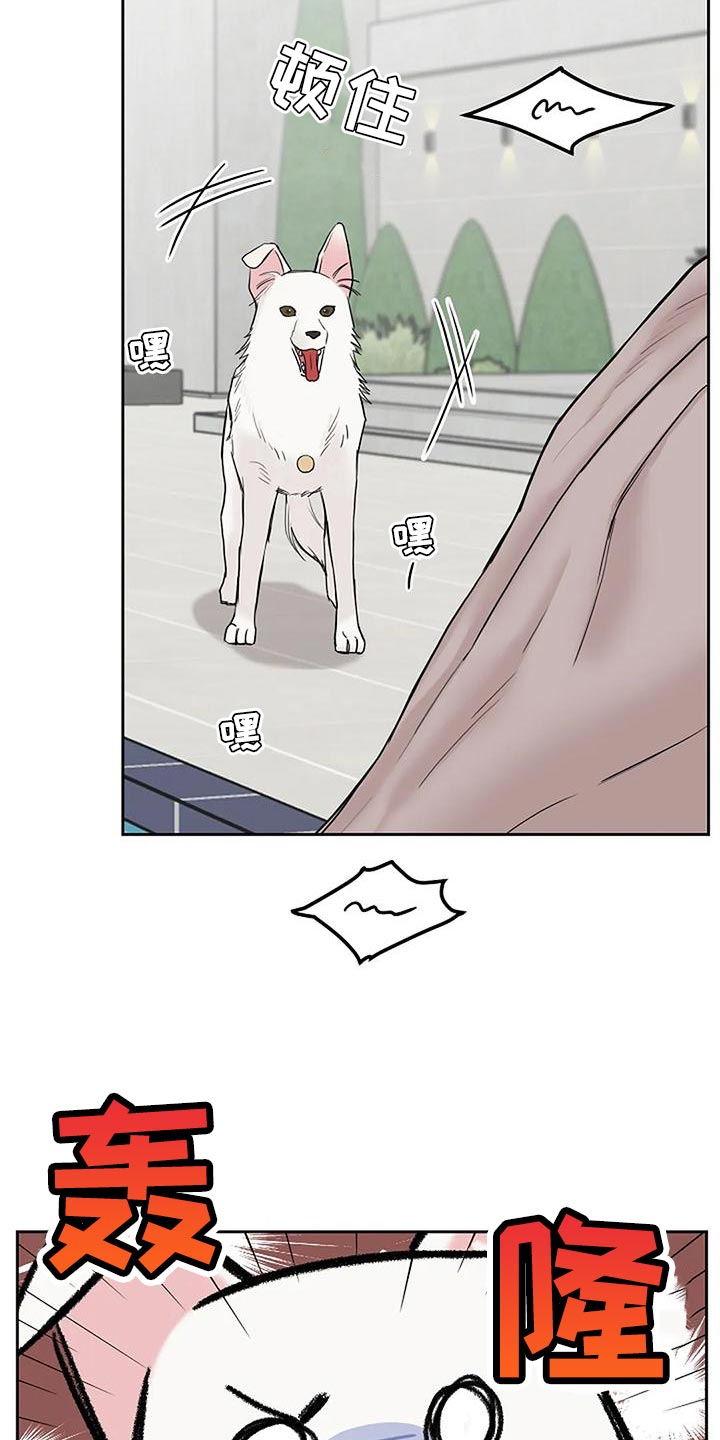 第19章：要被吃掉了30