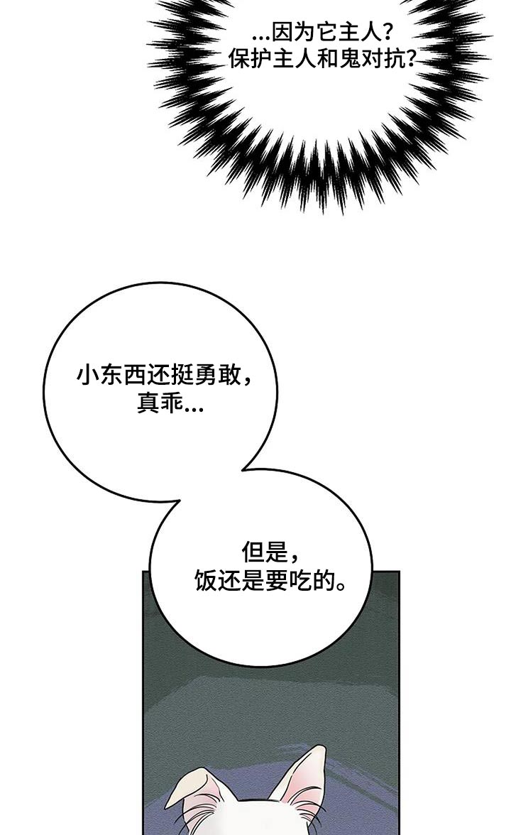 第57章：为什么不吃19