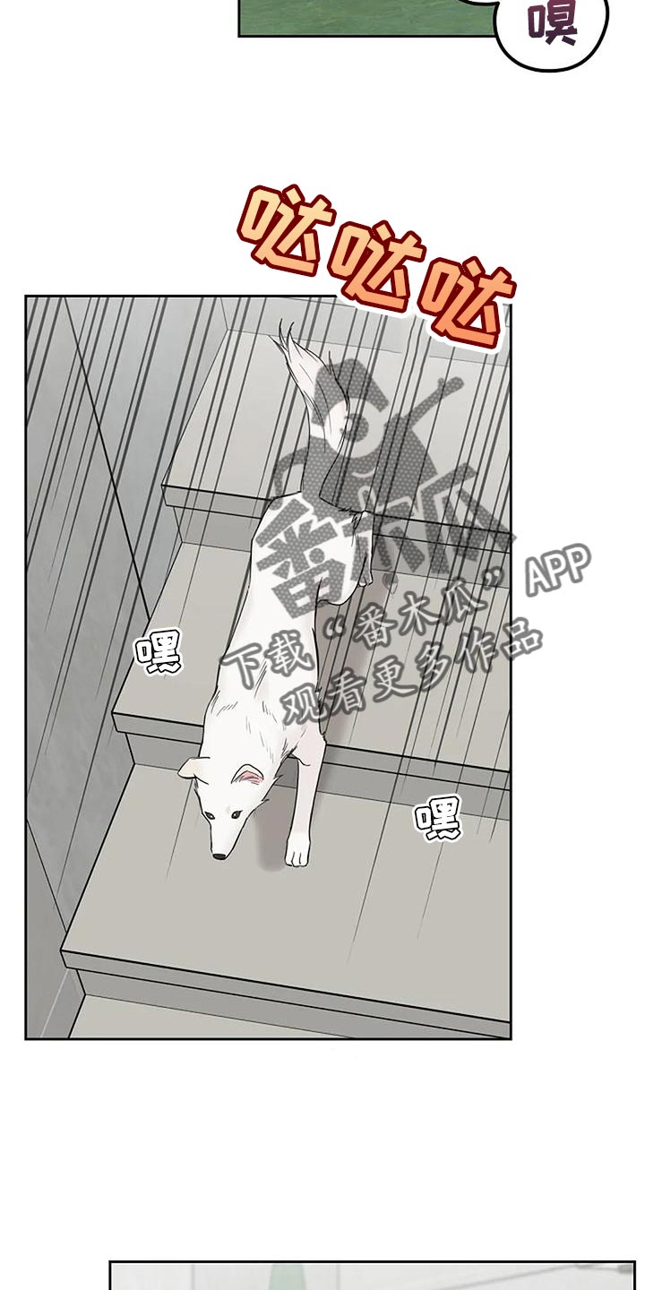 第19章：要被吃掉了29