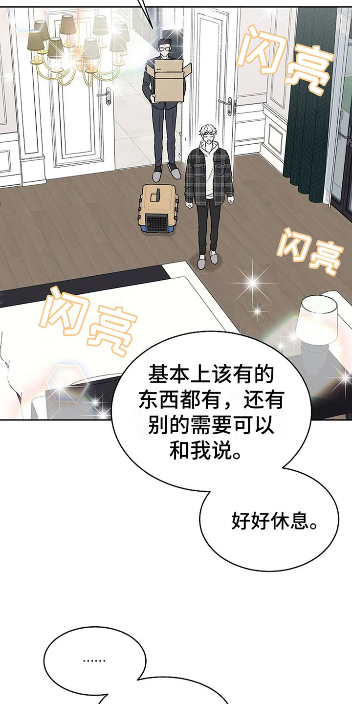 第17章：真的可以吗16