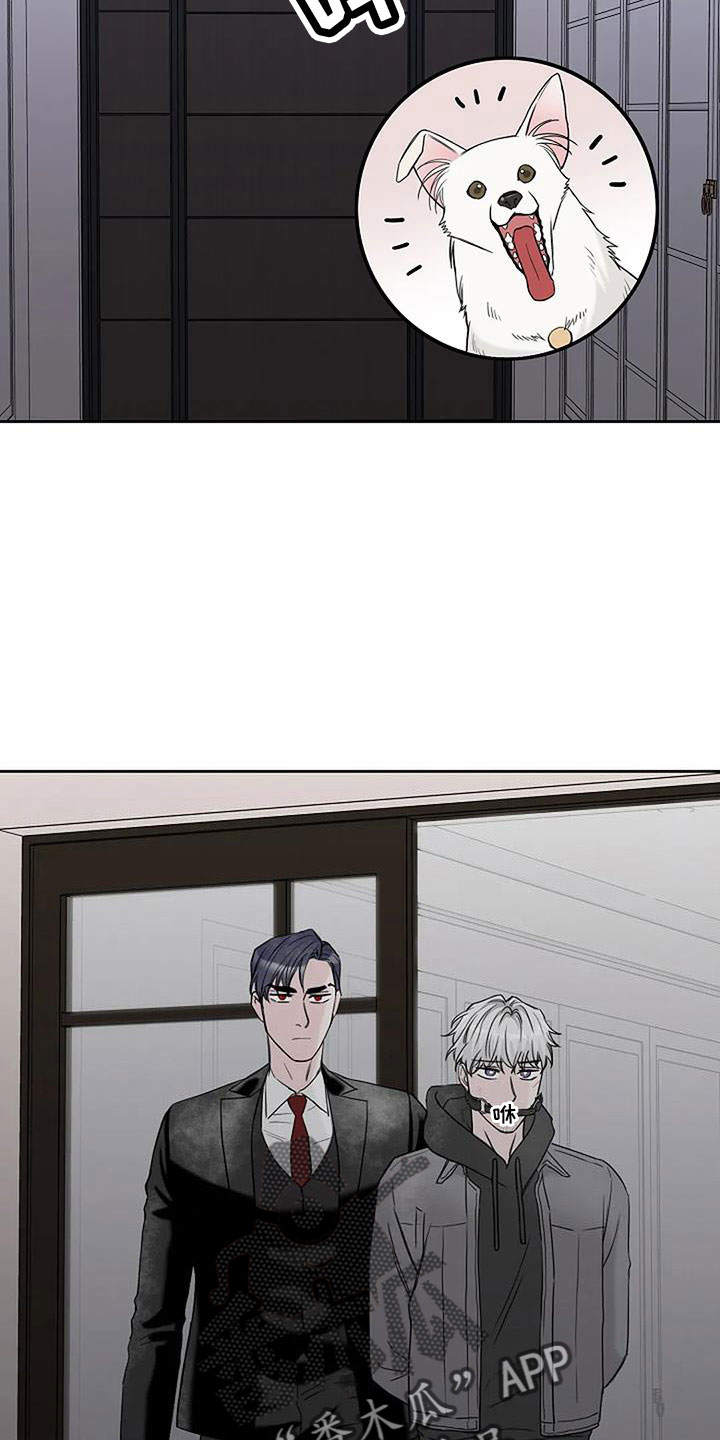 第34章：别装了14