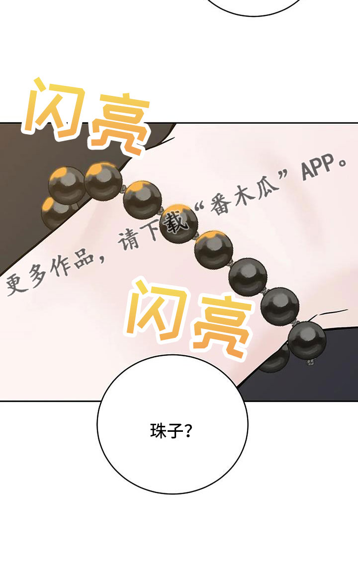 第41章：珠子15