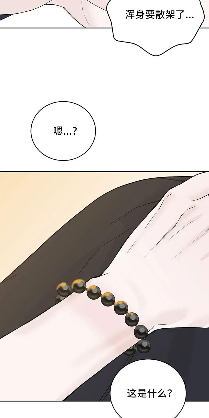 第41章：珠子14
