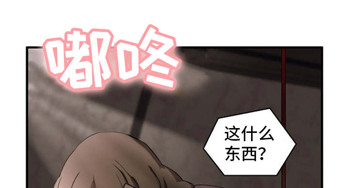第29章：都是假的3