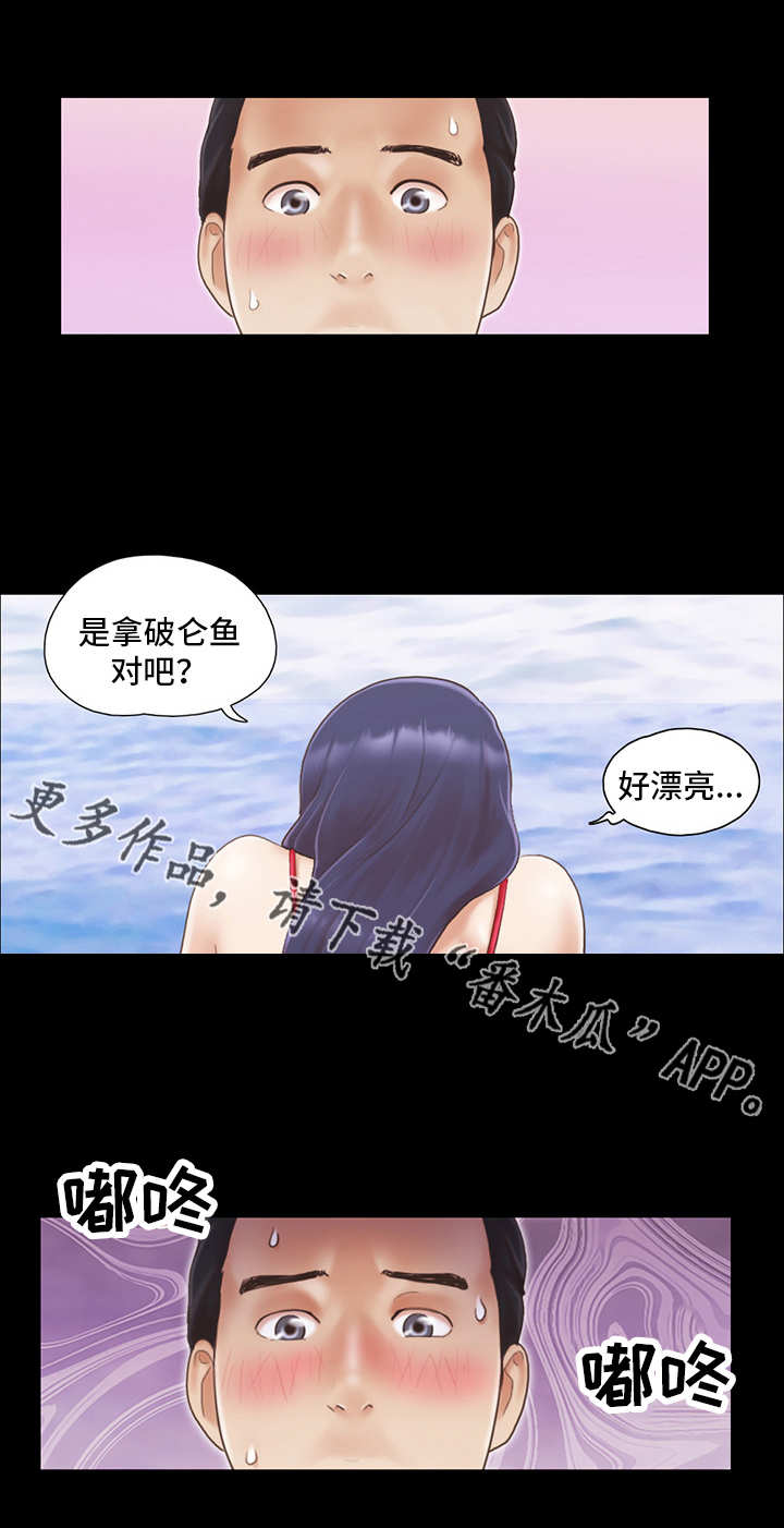 第15章：玩耍4