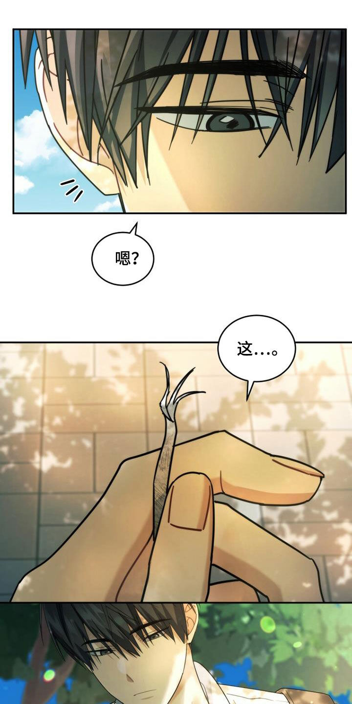 第48章：传开了10