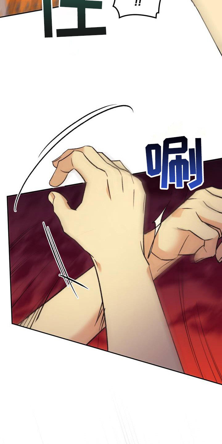 第43章：隐情29