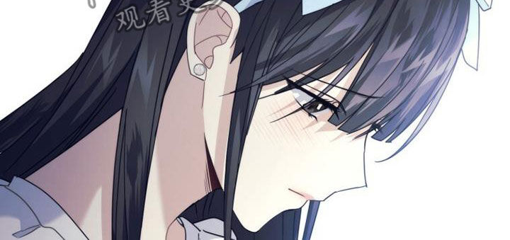 第40章：相约11