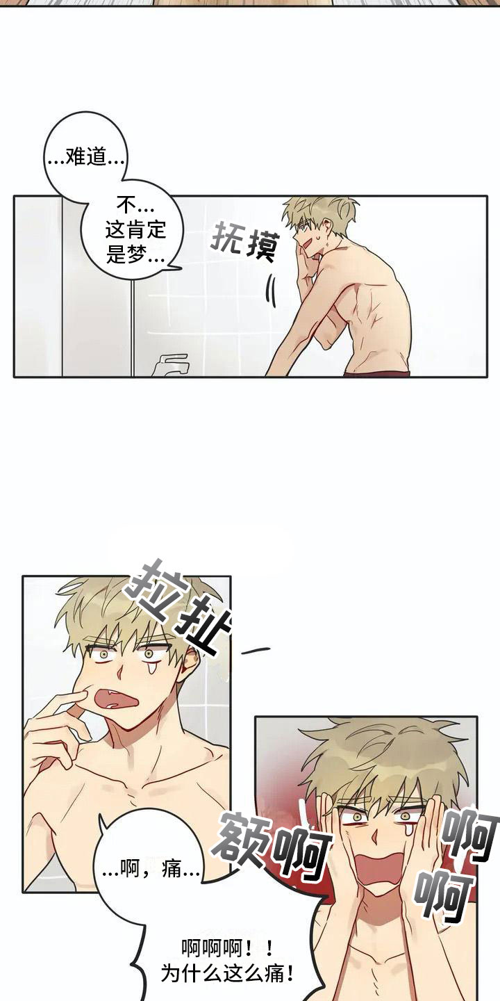 第3章：回归1